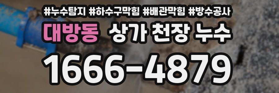 대방동 상가 천장 누수