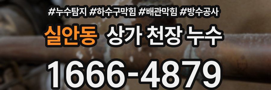 실안동 상가 천장 누수