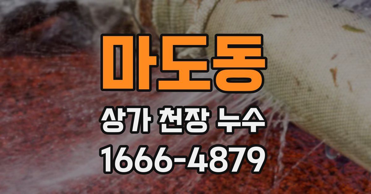 마도동 상가 천장 누수
