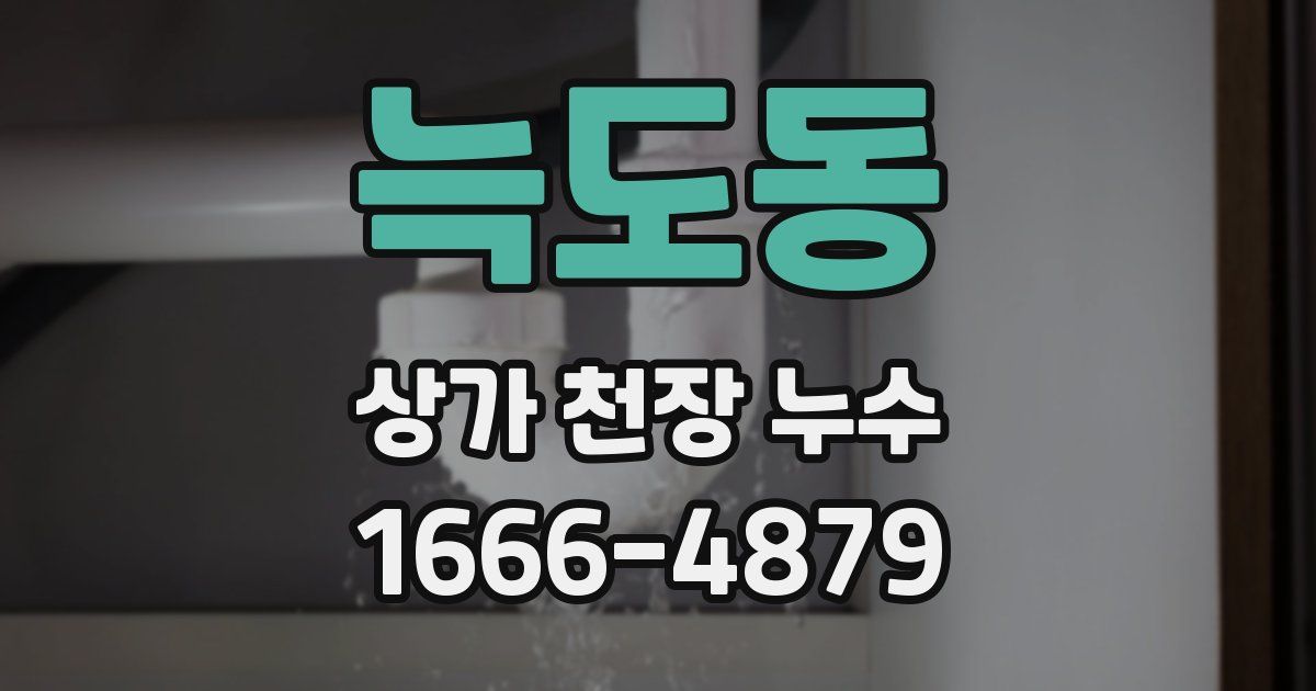 늑도동 상가 천장 누수