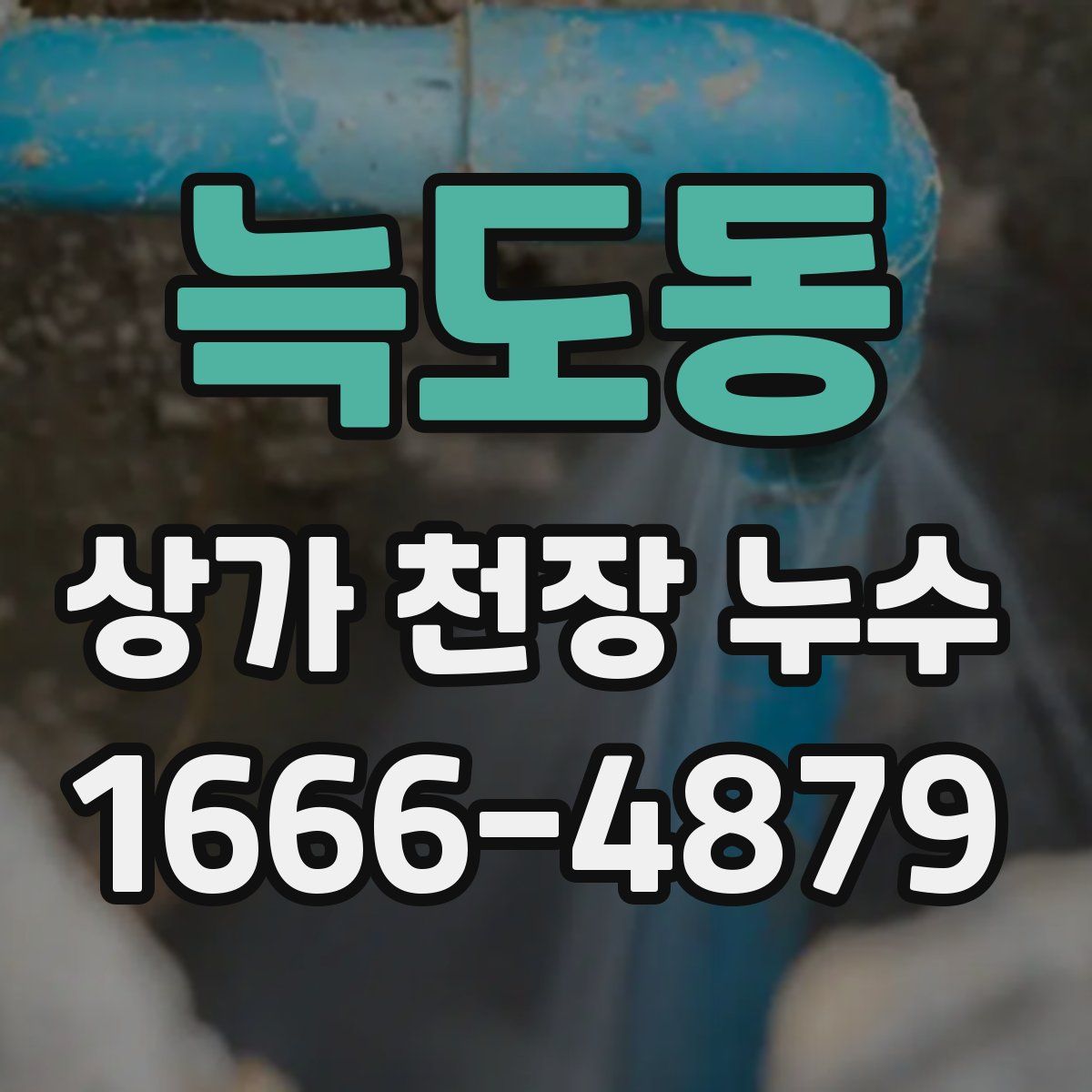 늑도동 상가 천장 누수