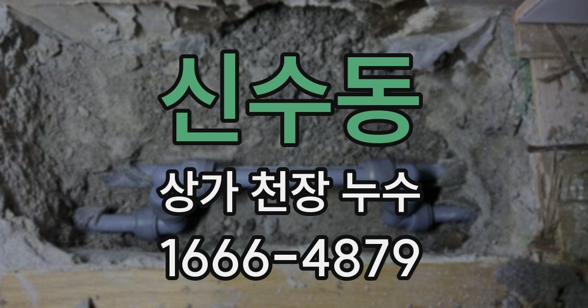 신수동 상가 천장 누수