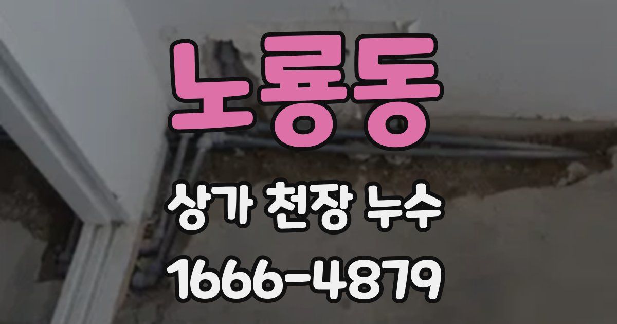 노룡동 상가 천장 누수