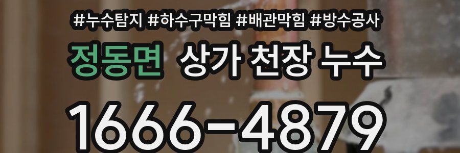 정동면 상가 천장 누수