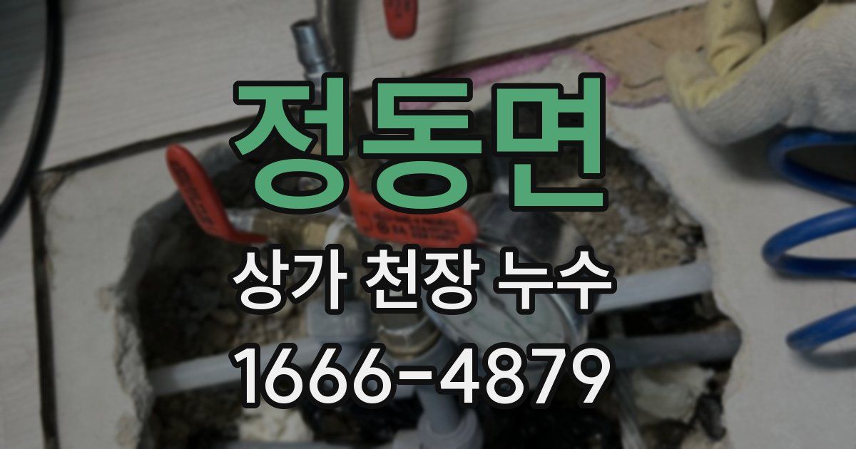 정동면 상가 천장 누수