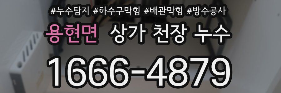 용현면 상가 천장 누수
