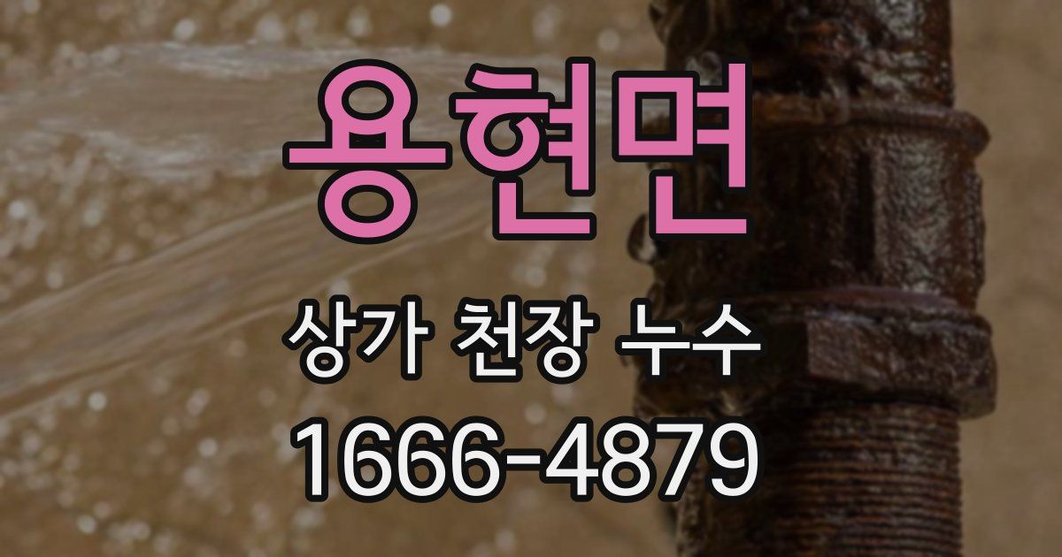 용현면 상가 천장 누수