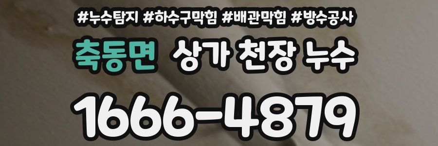 축동면 상가 천장 누수