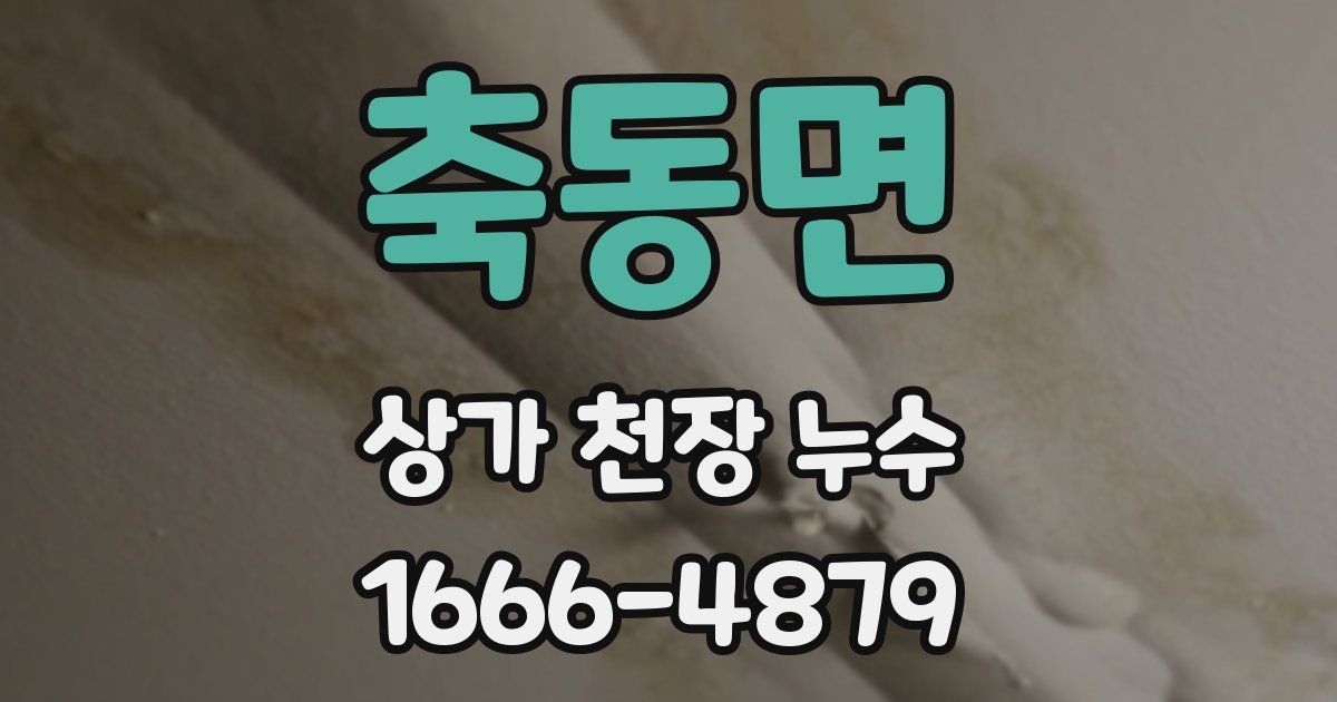 축동면 상가 천장 누수