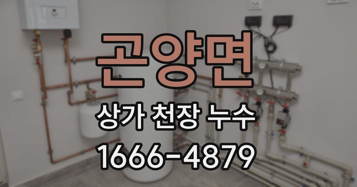 곤양면 상가 천장 누수
