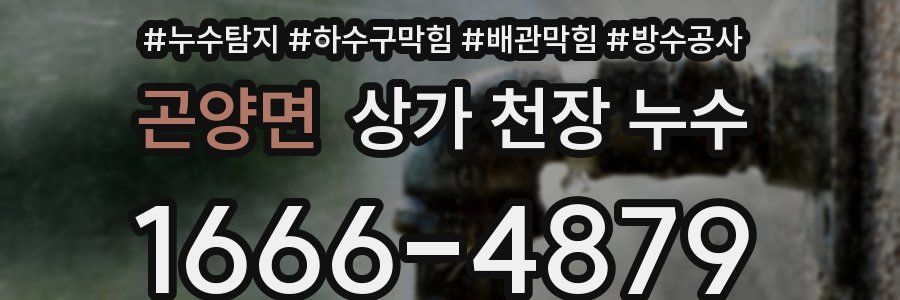 곤양면 상가 천장 누수