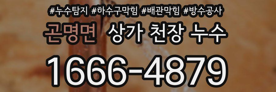 곤명면 상가 천장 누수