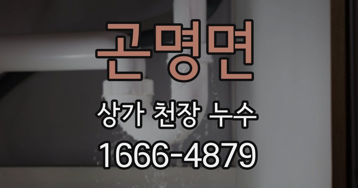 곤명면 상가 천장 누수