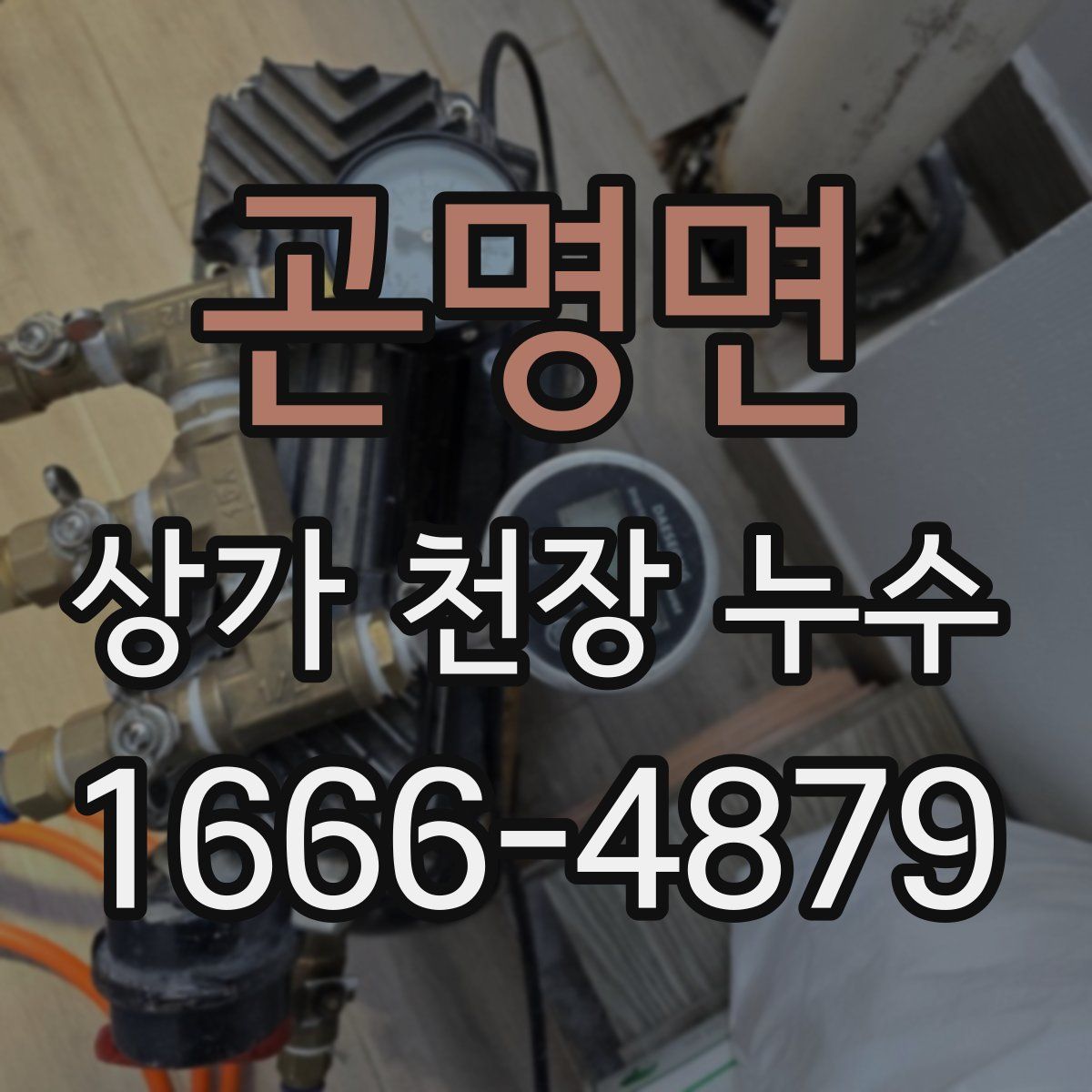 곤명면 상가 천장 누수