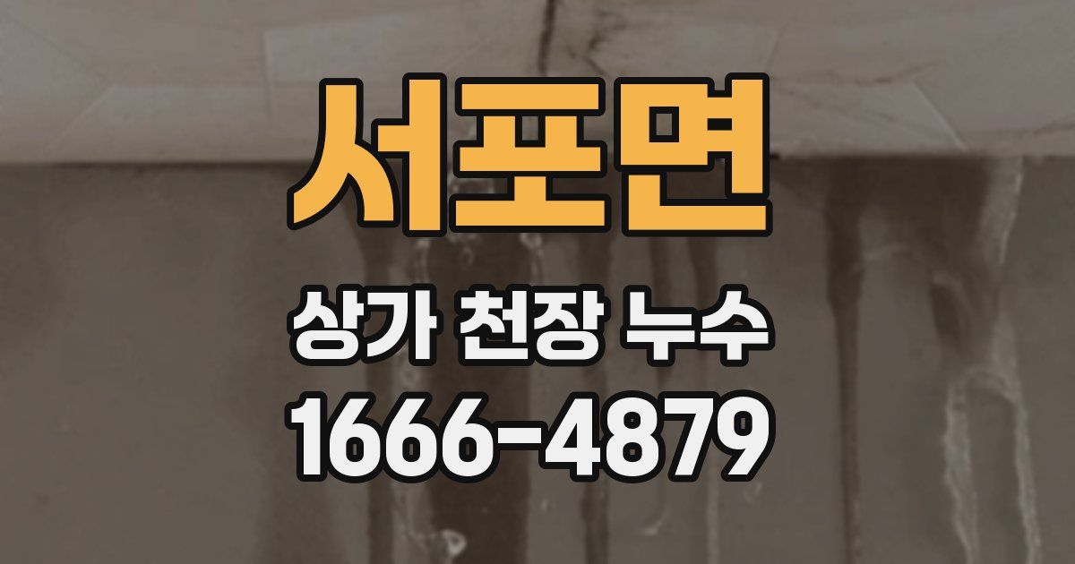 서포면 상가 천장 누수