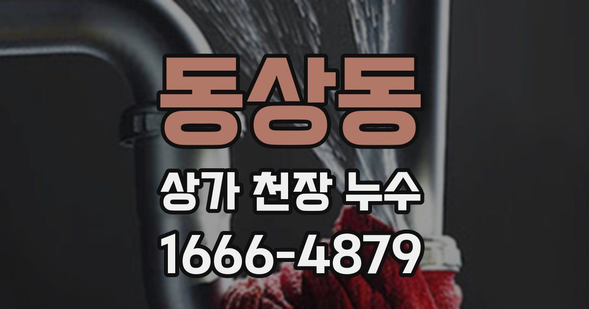 동상동 상가 천장 누수