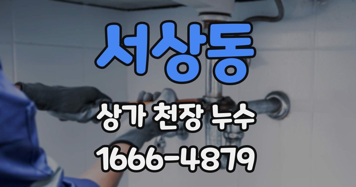 서상동 상가 천장 누수
