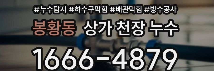 봉황동 상가 천장 누수