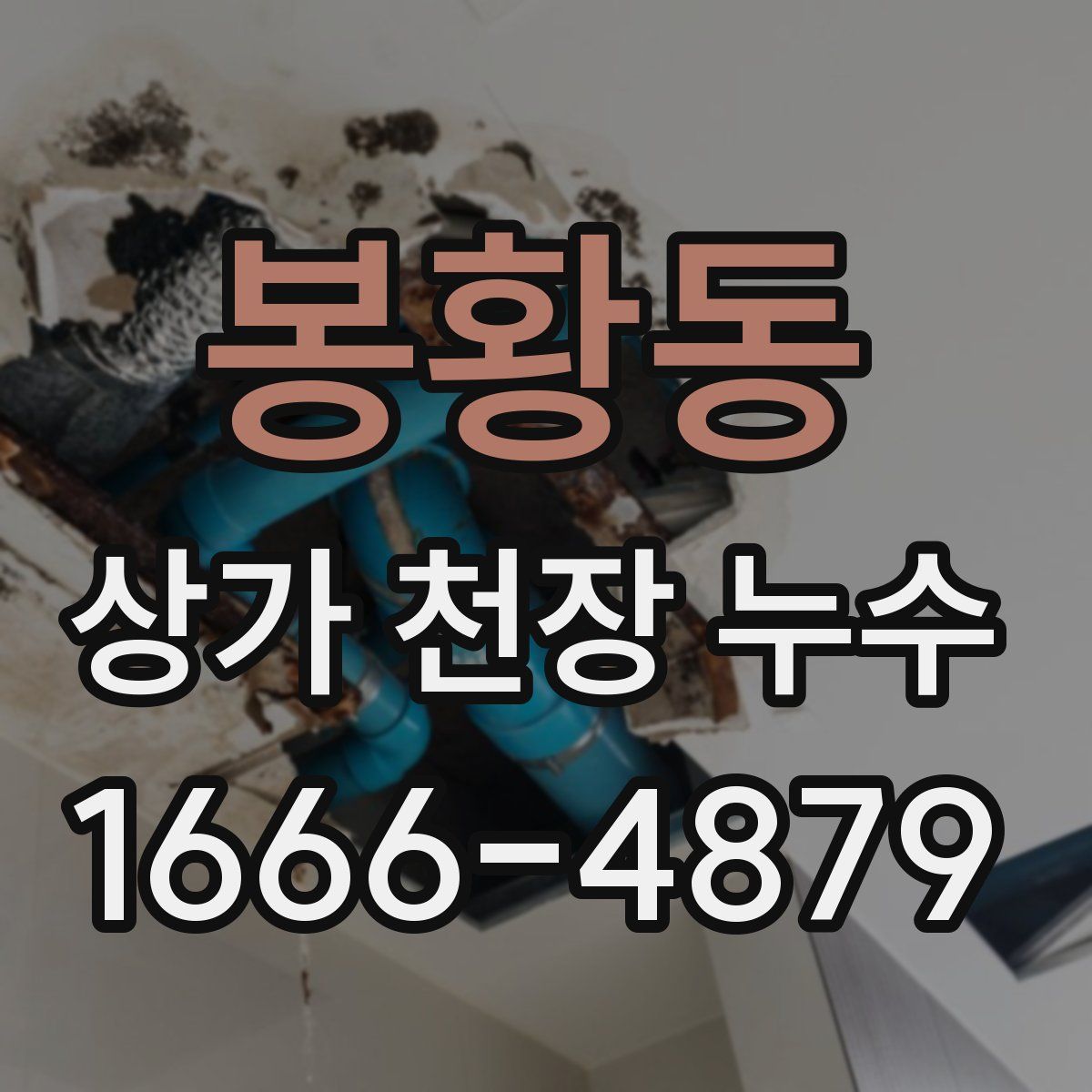 봉황동 상가 천장 누수