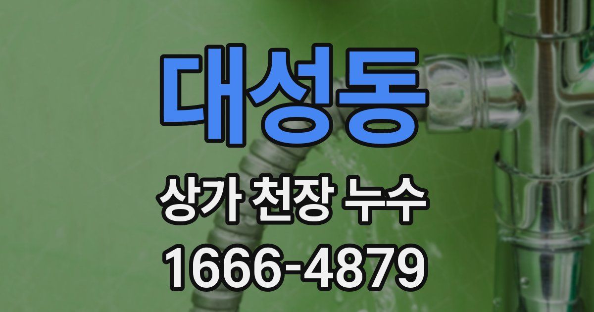 대성동 상가 천장 누수