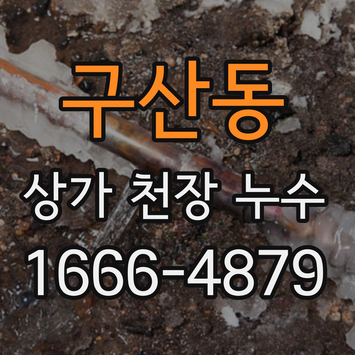 구산동 상가 천장 누수