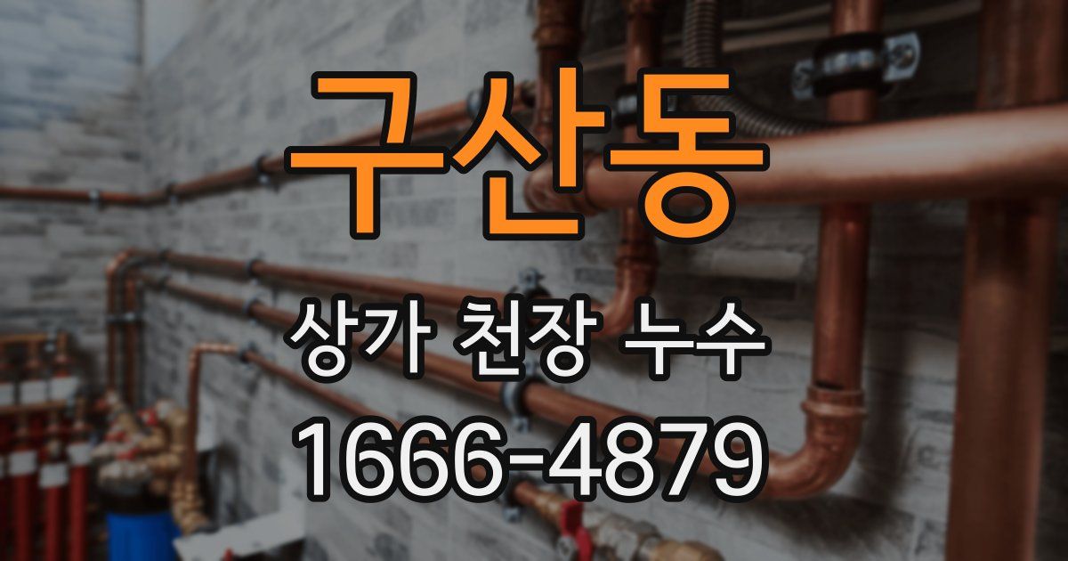 구산동 상가 천장 누수