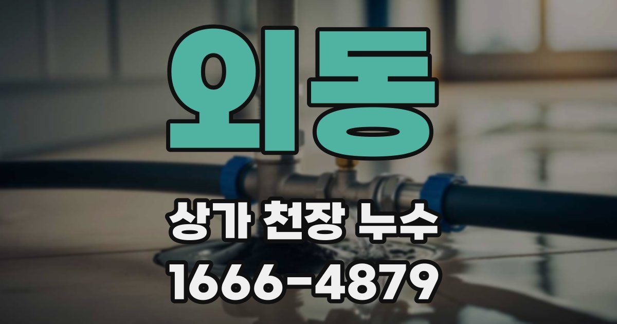 외동 상가 천장 누수