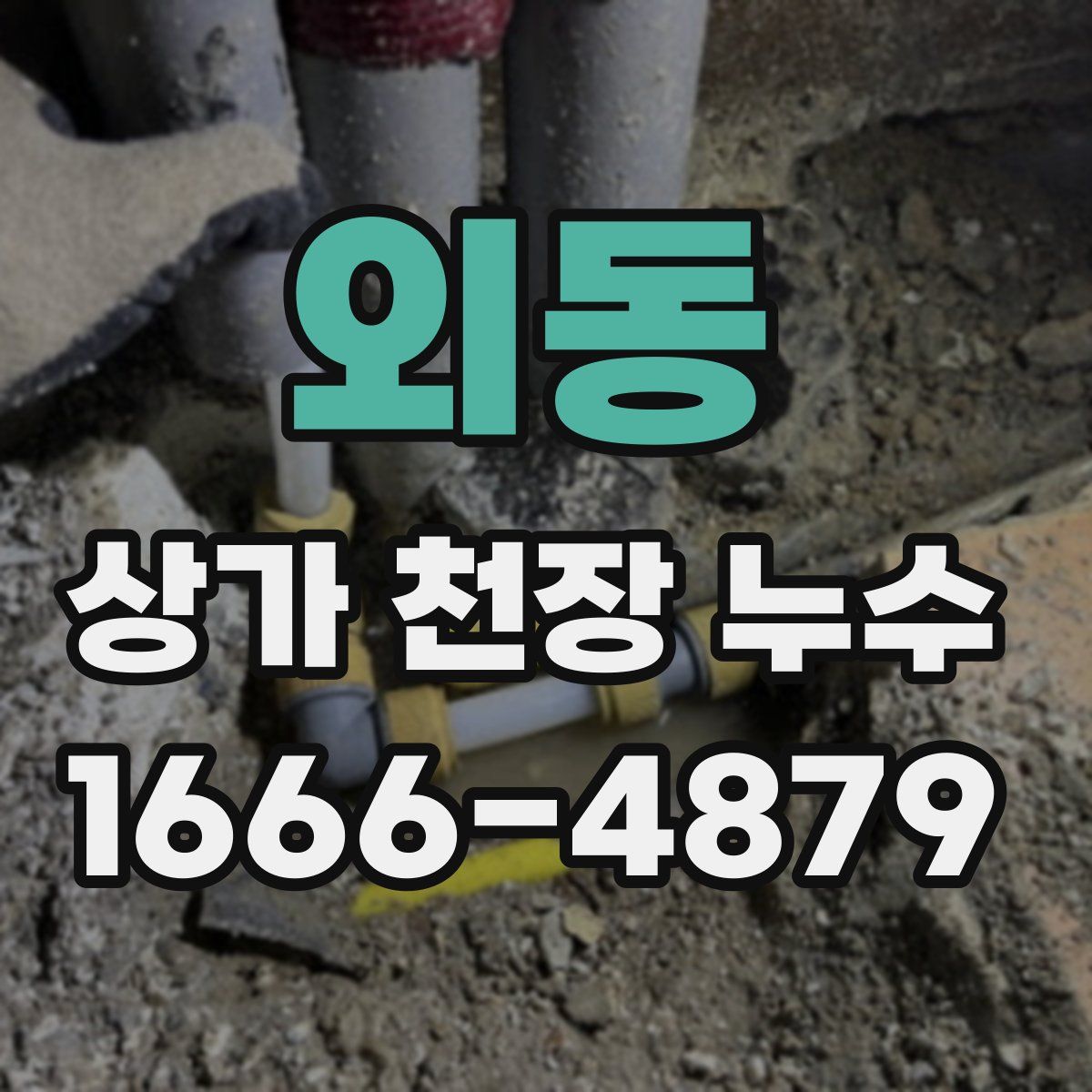 외동 상가 천장 누수