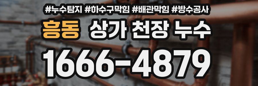 흥동 상가 천장 누수