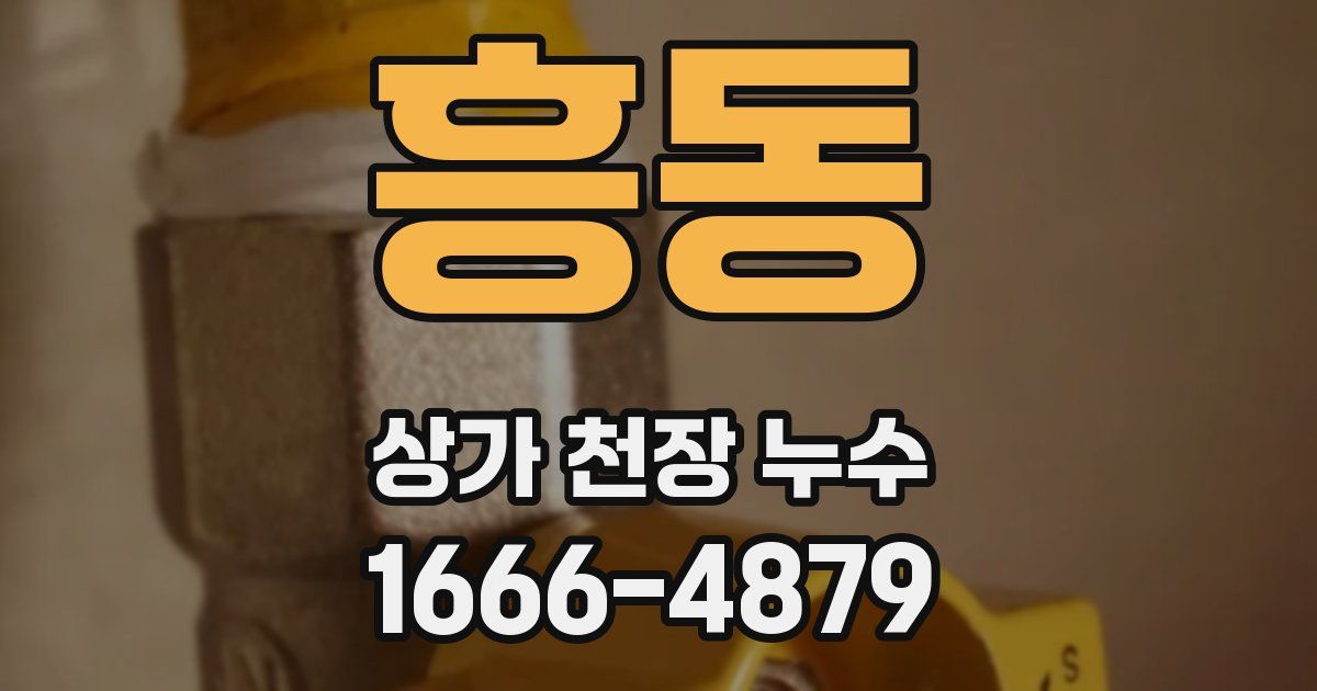 흥동 상가 천장 누수