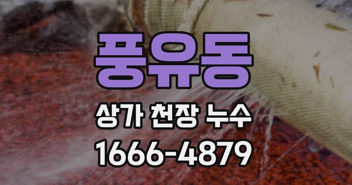 풍유동 상가 천장 누수