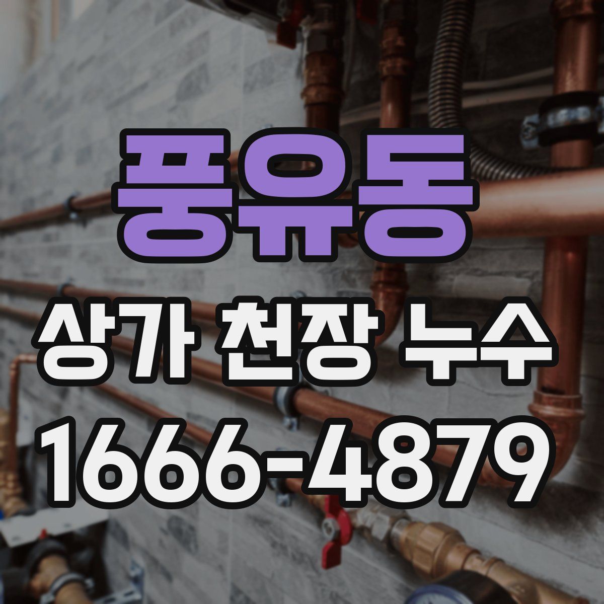 풍유동 상가 천장 누수