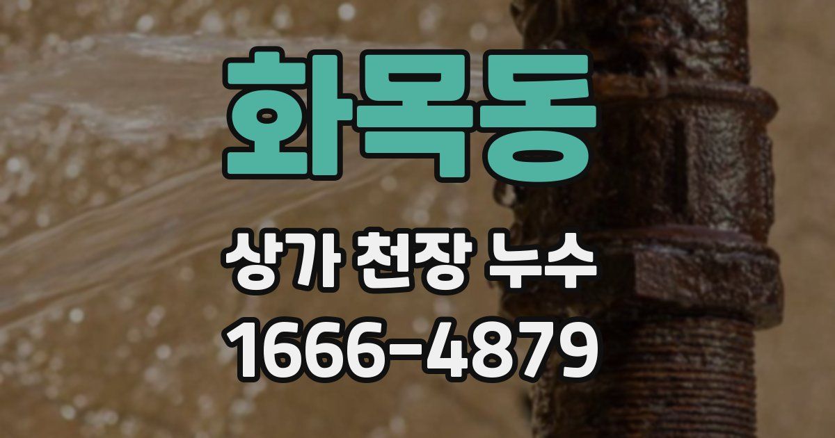 화목동 상가 천장 누수