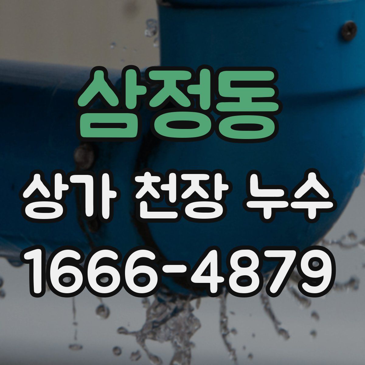 삼정동 상가 천장 누수