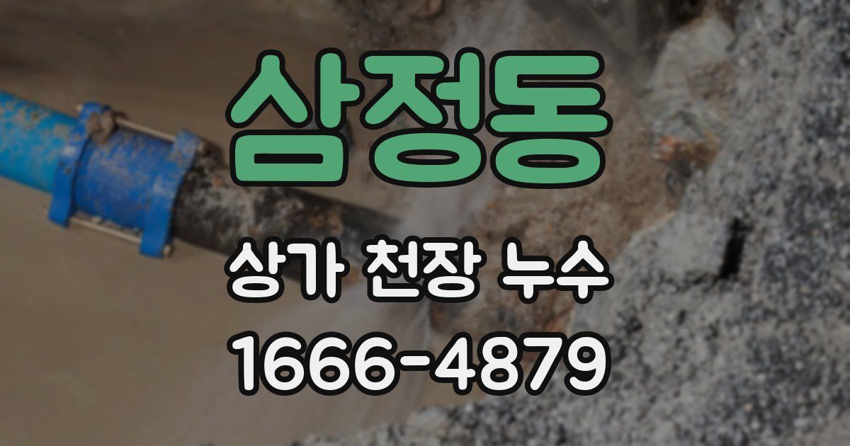 삼정동 상가 천장 누수