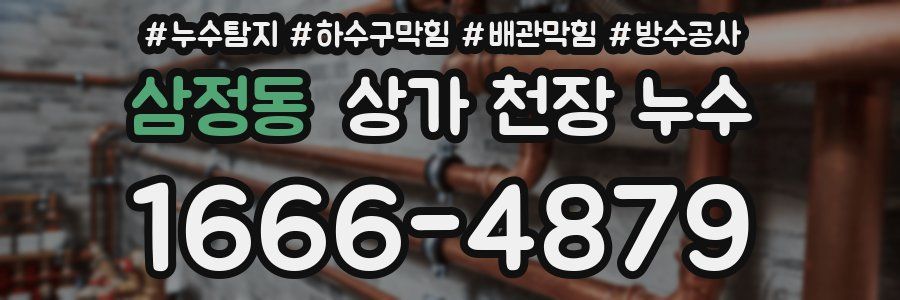 삼정동 상가 천장 누수