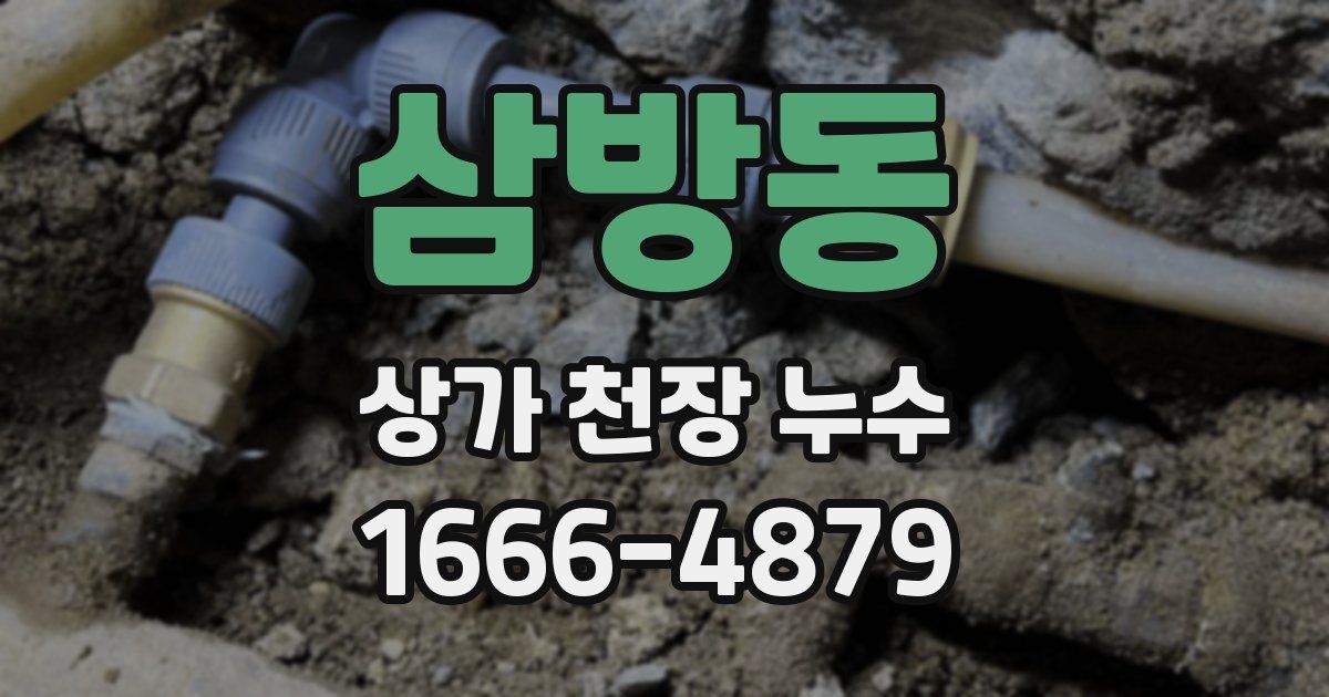 삼방동 상가 천장 누수