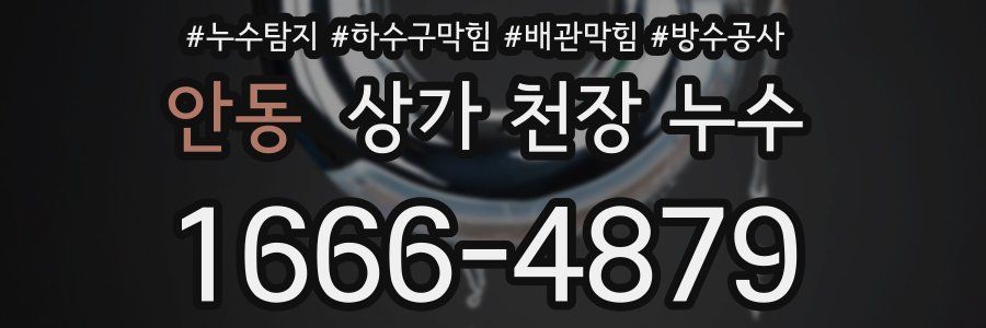 안동 상가 천장 누수