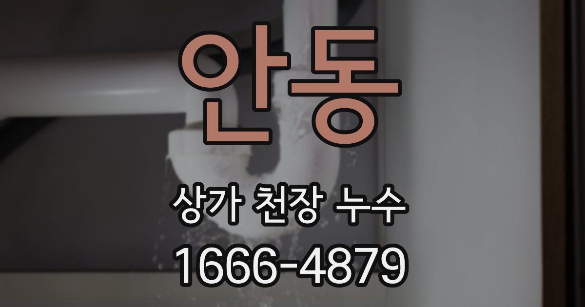 안동 상가 천장 누수