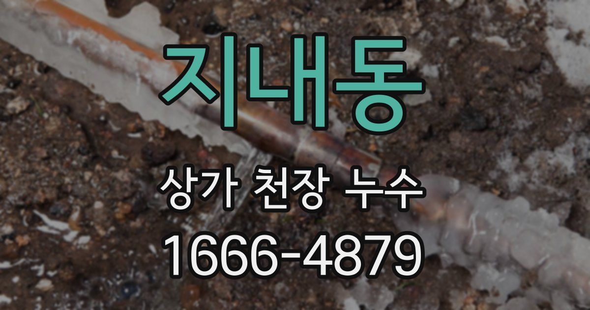 지내동 상가 천장 누수