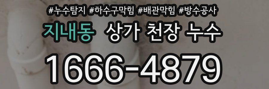 지내동 상가 천장 누수