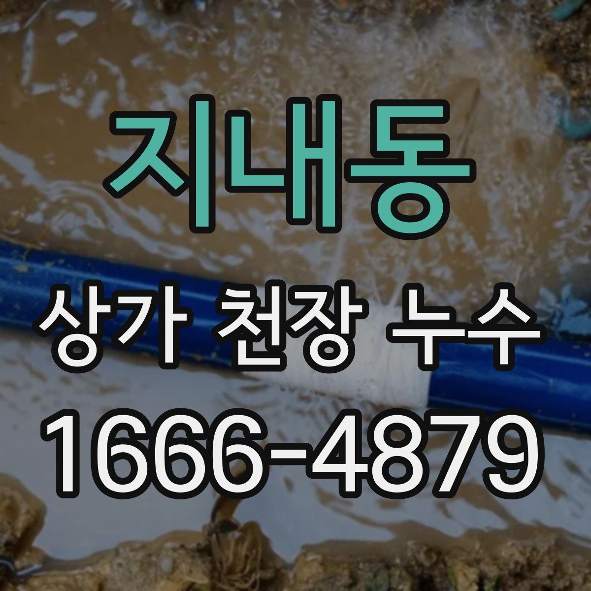 지내동 상가 천장 누수