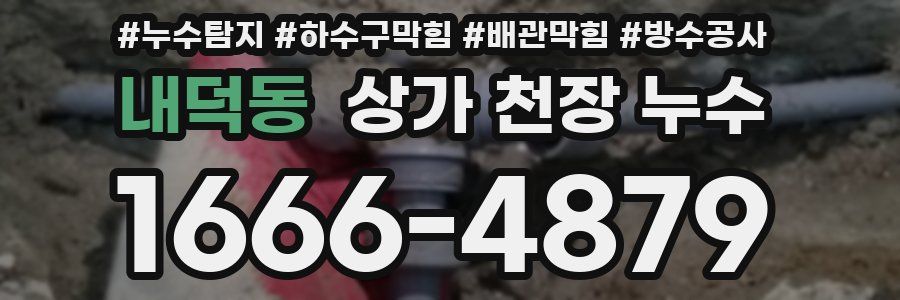 내덕동 상가 천장 누수
