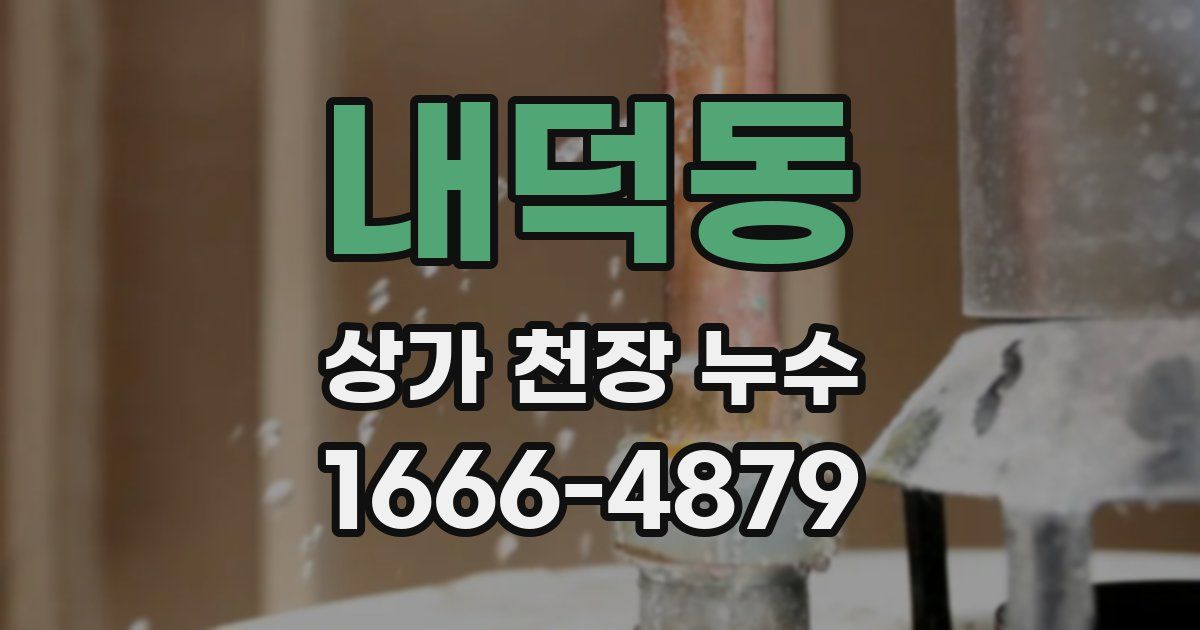 내덕동 상가 천장 누수