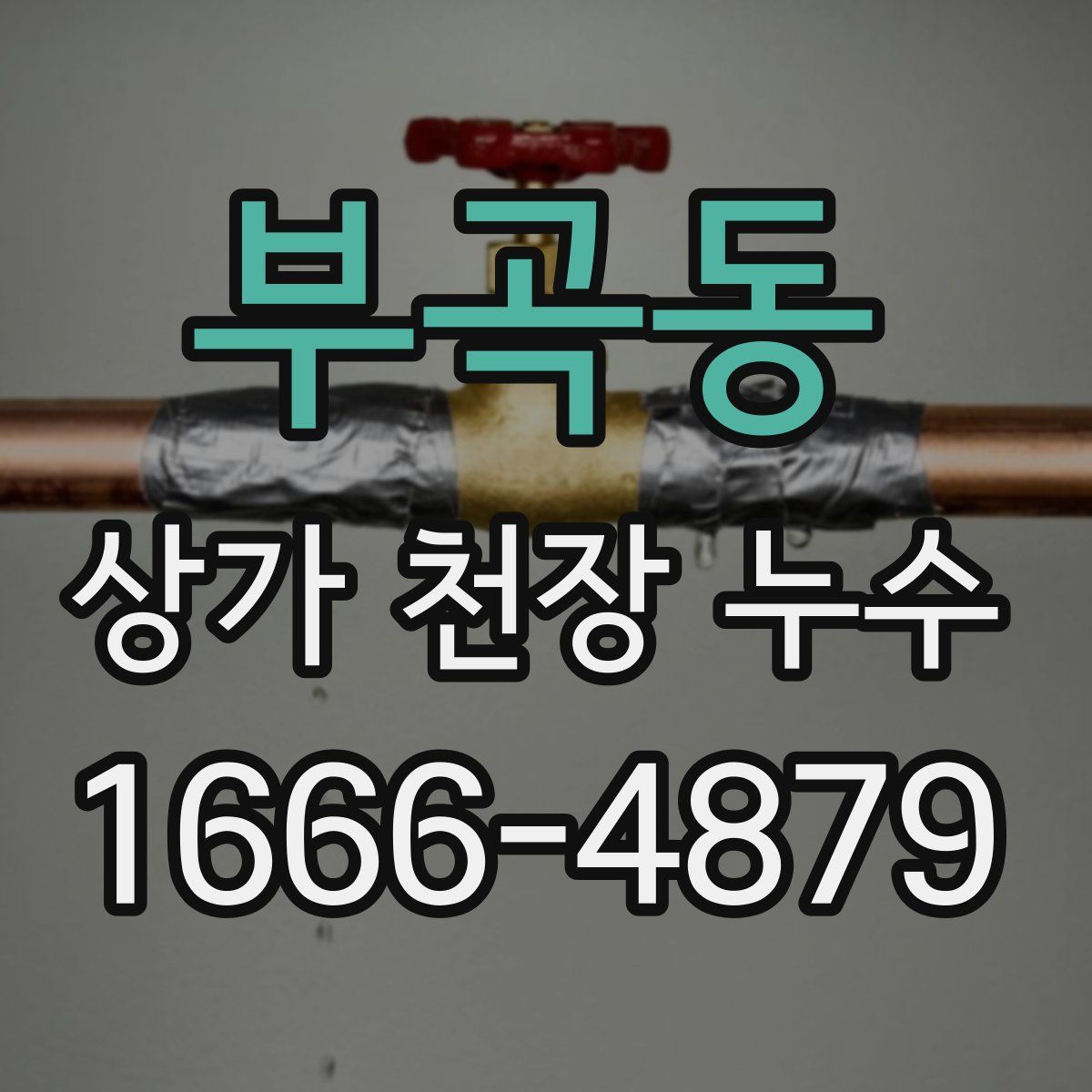 부곡동 상가 천장 누수