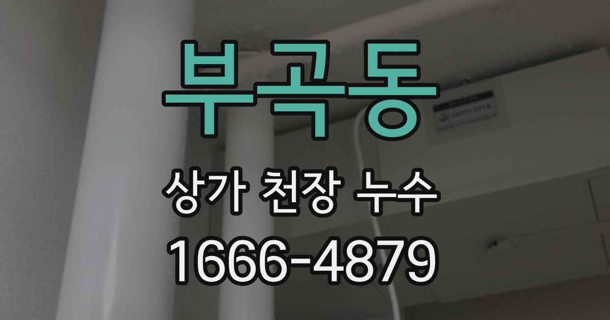 부곡동 상가 천장 누수