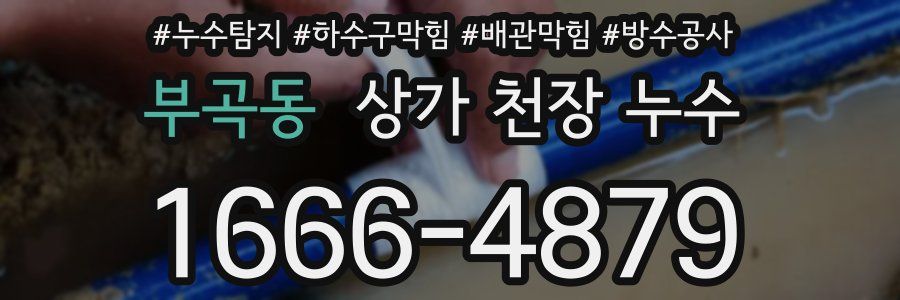 부곡동 상가 천장 누수