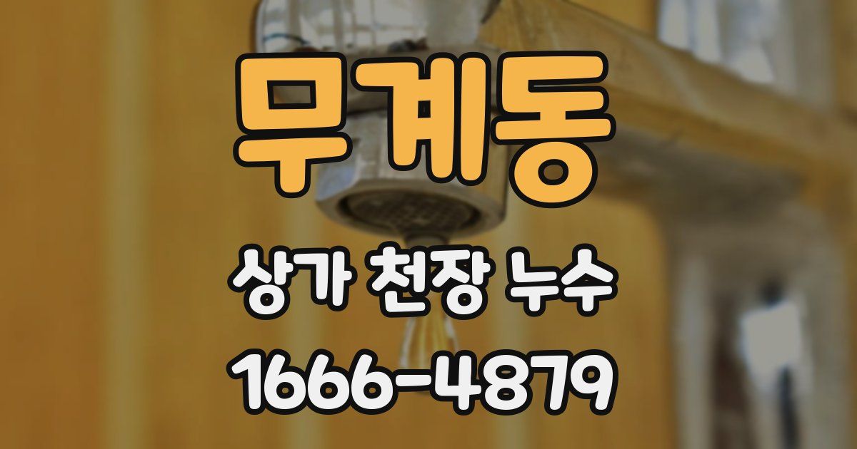 무계동 상가 천장 누수