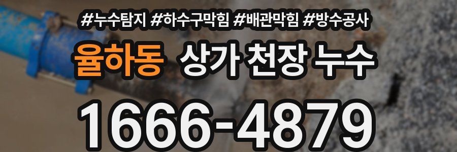 율하동 상가 천장 누수