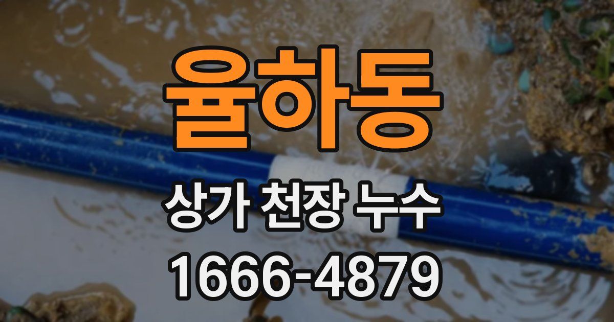 율하동 상가 천장 누수